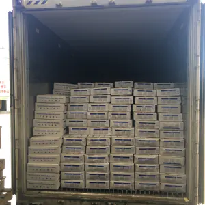 カニの冷凍すり身を模倣するためのBQFすり身 - Product Image 6