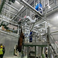 Lève-vie autonome pour bovins vivants, machine de levage robuste pour le sanglagement et les opérations d'abattage