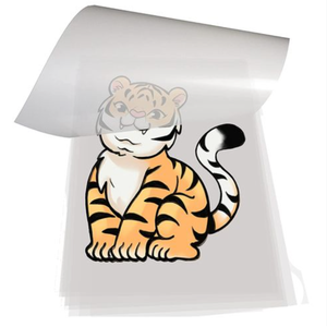 Hot Peel DTF Impresora Rollo de <span class=keywords><strong>película</strong></span> DTF Rollo de <span class=keywords><strong>película</strong></span> de transferencia Dtf Rollo de <span class=keywords><strong>película</strong></span> 60 cm 33cm para impresora de transferencia de calor - Product Image 3