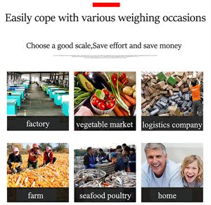 100-240V/50-60HZ Elektronische Plattformwaage 300Kg Wiegekapazität mit Schutzgeländer - Product Image 2