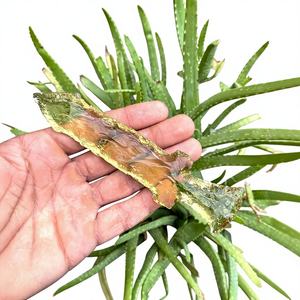 2025 Best Handmade Yellow Glass Sword Knife Collection Crystal Fantasy Decor Blades, Collectible Stone Artistic Home Decor Gift - Product Image 1