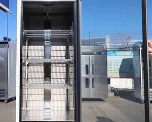 Réfrigérateur commercial <span class=keywords><strong>américain</strong></span> de luxe 594L en acier inoxydable à porte unique Congélateur vertical Présentoir Réfrigérateurs - Product Image 4