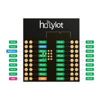 Module sans fil Holyiot NRF52832 BLE 5.3, balise iBeacon, émetteur-récepteur de données sans fil 2,4 GHz, vente chaude