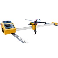 Machine de découpe à plasma CNC à portique 160A, mini machine de découpe à plasma CNC Meta pour le marché de la transformation de l'acier