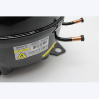 R600a AC LBP 220-240V ~ 50/60Hz OE Nevera Coche Refrigerador Compresor