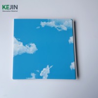 Panel de Techo de PVC Satinado Azul Cielo, Diseño Falso, Tablero de Techo de PVC, Lambris de PVC, Faux Plafond, Tiras de Techo
