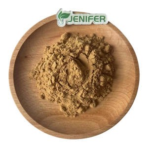 Kruidensupplementen Bulk Berkenblad Extract Poeder - Product Image 2