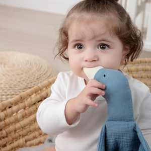 Recién llegado, edredón de animales bonitos, toalla relajante sólida, muñeca de ganso de dibujos animados, manta de seguridad para bebé, Lovey - Product Image 1