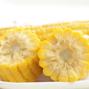 Whole Yellow Sweet Corn cob Ready to Eat