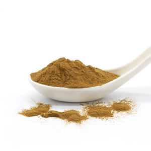 Sciencarin Suministra Extracto de Cactus <span class=keywords><strong>Hoodia</strong></span> <span class=keywords><strong>Gordonii</strong></span> de Grado Alimenticio en Polvo, Extracto Herbal en Envase de Tambor - Product Image 2