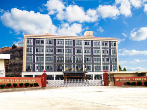 Casa para Gatos de Madera Maciza de 2 Pisos para Exteriores, Moderna Casa para Mascotas con Escaleras y Ventana, Refugio para Gatitos - Product Image 6