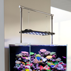 Kit complet d'aquarium de récif corallien sans cadre pour eau salée, aquarium marin pour la maison ou le bureau - Product Image 6