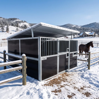 Modèle d'enceinte d'équitation intérieure moderne, écuries, atelier, entrepôt préfabriqué en acier, grange, abri pour ferme, écurie de chevaux personnalisée
