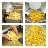 Línea de producción de patatas fritas totalmente automática industrial de 300-1000 kg/hora/máquina para hacer patatas fritas