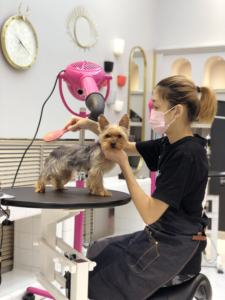 <span class=keywords><strong>Cage</strong></span> de transport pour animaux domestiques, facile à utiliser, stylo d'exercice en métal pour chiens, niche avec clôture pour chiots et chatons - Product Image 4