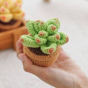 Tricoté à la main <span class=keywords><strong>Cactus</strong></span> plante en pot fait <span class=keywords><strong>maison</strong></span> Crochet fini Table bureau <span class=keywords><strong>maison</strong></span> nouvel an décor tissé à la main plantes succulentes fleur - Product Image 5