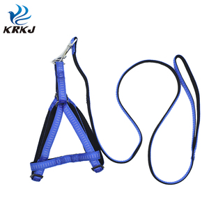 TC1108 vente en gros de produits innovants <span class=keywords><strong>pour</strong></span> animaux de compagnie <span class=keywords><strong>pour</strong></span> le jardin de la maison bandes de <span class=keywords><strong>laisse</strong></span> élastiques <span class=keywords><strong>pour</strong></span> <span class=keywords><strong>chien</strong></span> et ensemble de colliers - Product Image 5