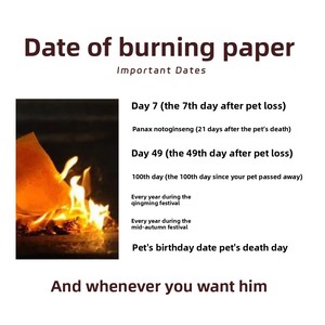 Papel Funerario para Mascotas, Dinero de Papel para Ofrendas de Difuntos Perros y Gatos, Productos Simulados - Product Image 5