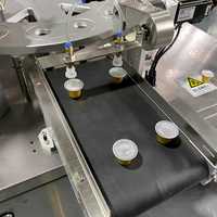 Machine de remplissage et de scellage de capsules de café Nespresso rotative automatique électrique à grande vitesse avec emballage en plastique et en métal