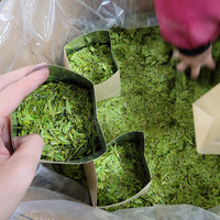 Vente directe usine – Thé vert Longjing après la pluie, 1 kg, plusieurs grades, emballage en sac, dropshipping, spécifications variées par zone