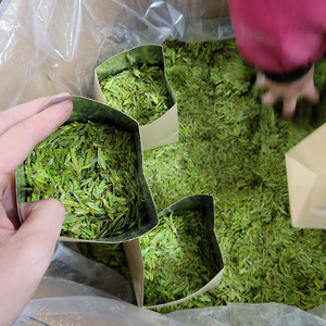厂家直销雨后龙井绿茶多档次袋装直运区不同规格 - Product Image 6