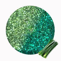 Poireau surgelé IQF XMSD, ingrédient de qualité export pour les producteurs de plats préparés et les applications de transformation alimentaire industrielle