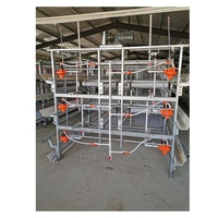 Cages à poulets de chair, cages à poulets automatiques, cages à poules pondeuses de type H