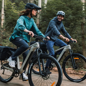 <span class=keywords><strong>Fiido</strong></span> Nomads Touring <span class=keywords><strong>E</strong></span>-<span class=keywords><strong>Bike</strong></span> avec moteur 250W 36V 11.6AH batterie 29 pouces roues capteur de couple frein à disque hydraulique Ebike - Product Image 2