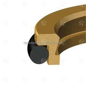 Sello Hidráulico DYN <span class=keywords><strong>ELA</strong></span>, Sello <span class=keywords><strong>ELA</strong></span> que Cumple con la Norma ISO 6195 Tipo <span class=keywords><strong>D</strong></span>, Dimensiones NBR PTFE, Geometías Únicas de Labio de Sellado - Product Image 4