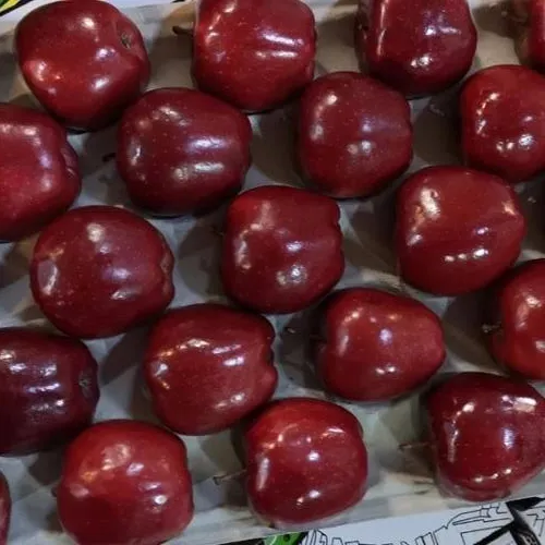 2020 Heerlijke Goedkope Verse Vruchten Griekse Oorsprong Apple Fruit Voor Verkoop