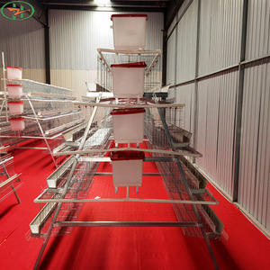 Tốt nhất bán gia cầm Thiết bị nông nghiệp nhà cung cấp pin tự động lớp trứng gà đẻ gà lồng - Product Image 4