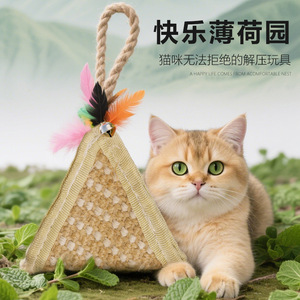 Sac à herbe à chat avec corde nouée et plume, jouet à mâcher durable pour chatons, soulagement de la dentition, jouet interactif pour animaux de compagnie - Product Image 1