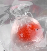 20599-Jelly-Textured Red Goldfish Bag