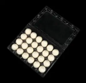 High Quality 15 20 Holes Quail Eggs Carton Packing Box Clear Plastic Egg Tray Packaging For Quail Chicken