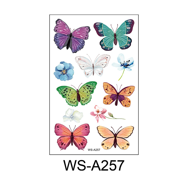 WS-A257