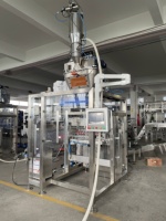 Machine d'emballage automatique multi-voies pour sachets de suppléments de graines de légumes, scellage 4 côtés, étiquetage alimentaire et chimique de haute performance