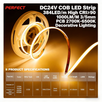 Bande LED COB en cuivre DC24V 384 LED/m CRI90 1000LM/M PCB 5mm 10W/m 41.66mm IP20 Télécommande 2700K-6000K Dimmable pour aménagement paysager