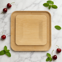 Assiettes carrées jetables en bambou 8 x 8 pouces, qualité alimentaire, écologiques, pour dîner, lot de 25 pour la restauration et les fêtes