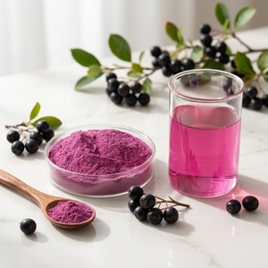 Polvo de <span class=keywords><strong>Aronia</strong></span> <span class=keywords><strong>Melanocarpa</strong></span> (Chokeberry Negro Natural) a Granel para Suplementos Nutricionales al por Mayor - Product Image 5
