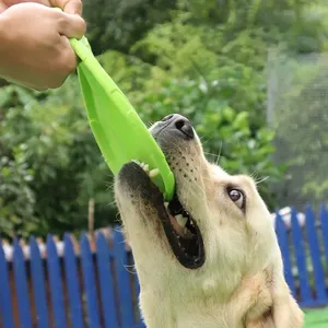 Jouet frisbee pour chien, écologique, en TPR, moderne, réaliste, souple, flottant, résistant aux morsures, pour animaux de compagnie - Product Image 6