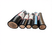 Cable UL Listado 300 350 400 500 600 750 MCM XHHW-2/XHHW/XHH/RHW/RW90, Cobre/Aluminio, 14 AWG, Cables Eléctricos para Construcción