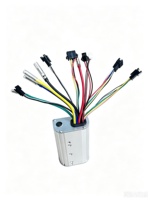 Contrôleur de moteur Bafang sans balais (personnalisé) LSW1728-2-1E Lishui 36V 25A Kits Accessoires pour vélos électriques Fat Bike