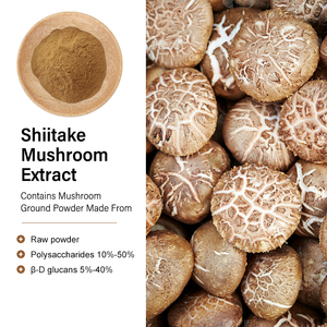 Poudre d'extrait de champignon <span class=keywords><strong>Shiitake</strong></span> biologique de qualité alimentaire AMULYN 1 kg, poudre d'extrait de Lentinus Edodes - Product Image 4