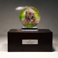Urne funéraire rectangulaire de luxe moderne pour animaux de compagnie avec cristal de bois de santal et photo commémorative pour chiens et chats