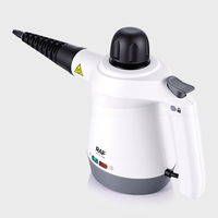 Nettoyeur vapeur haute pression RAF Factory Price R.11213, stérilisation physique, machine de nettoyage à vapeur pour la maison