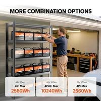Baterai LiTime 12V 50Ah LiFePO4 640Wh 50A BMS 4000+ Siklus Ringan untuk RV Marine Fish Finder Grosir