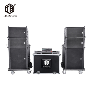 Sistema de matriz de línea activa individual de 10 pulgadas Configuración 4 + 2 para uso de altavoces - Product Image 5