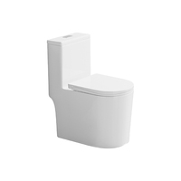 WC à siphon en S en gros, très demandé ; Ensemble WC et articles sanitaires pour salle de bain ; WC monobloc en céramique ; Idéal pour les projets hôteliers.