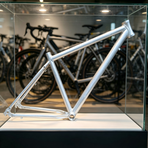Cadre de VTT/BMX Worldcycle HL26002 26 pouces en aluminium 6061 sablé brut argenté pour Dirt Jump, freins à disque, cruisers, logo personnalisé - Product Image 6
