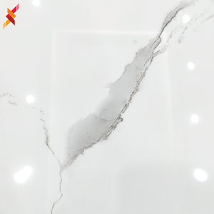 Gạch Ốp Tường Bằng Sứ Tráng Men Carreaux Đá Cẩm Thạch Màu Trắng Khách Sạn Sang Trọng Cho Phòng Khách 60X60 Cm - Product Image 4